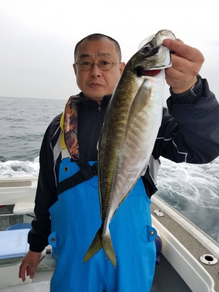 鯵